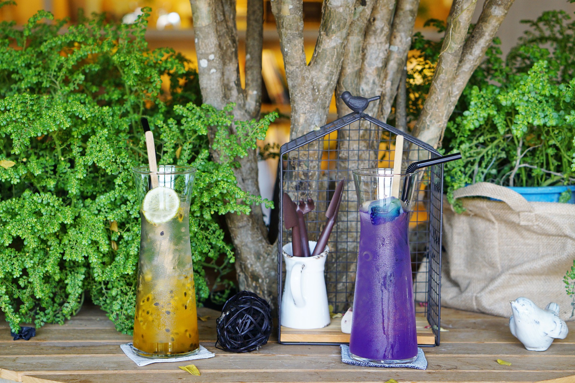Iced Butterfly Pea Flower Blue Tea with Lychee and Passion Fruit Italian soda juice, Relax with Thai Herbal Drink for Healthy Life in The Natural Concept.